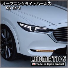 画像1: KG CX-8 オープニングライトハーネス [LEDウェルカムランプ] (1)