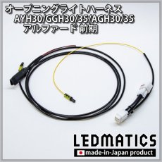 画像2: AYH30/GGH30/35/AGH30/35 アルファード 前期 オープニングライトハーネス [LEDウェルカムランプ] (2)