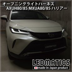 画像1: AXUH80/85 MXUA80/85 ハリアー オープニングライトハーネス [LEDウェルカムランプ] (1)