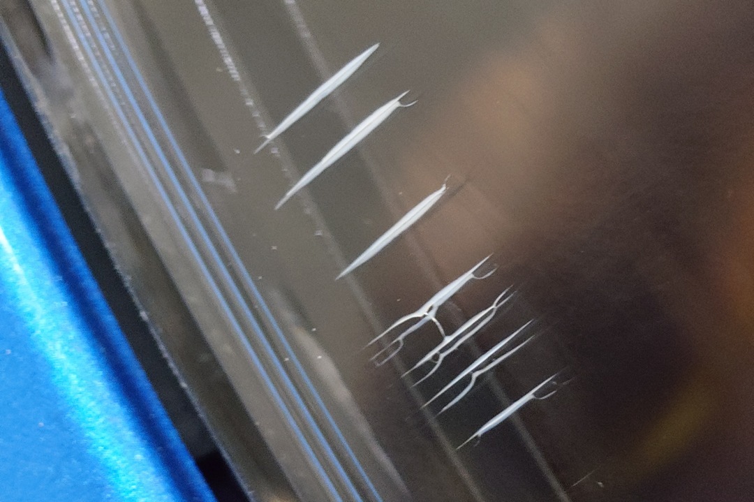 メルセデスベンツ Aクラス ヘッドライト 社外レンズ